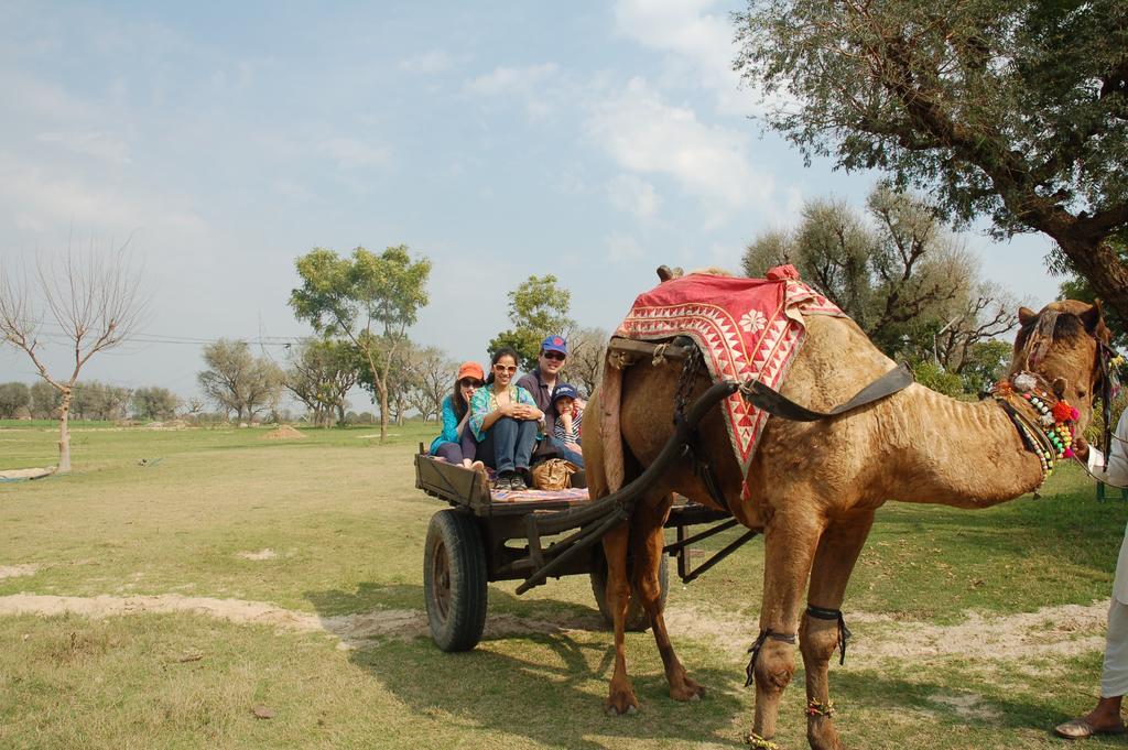 Savista Retreat Hotel Jaipur Luaran gambar