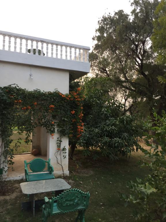Savista Retreat Hotel Jaipur Luaran gambar