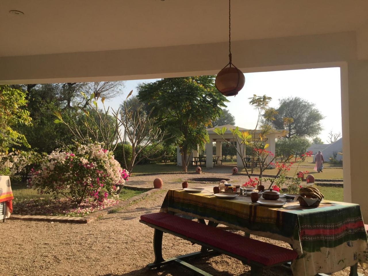 Savista Retreat Hotel Jaipur Luaran gambar