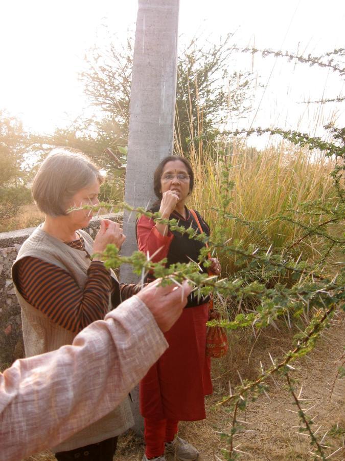 Savista Retreat Hotel Jaipur Luaran gambar